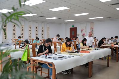 687門課程等你來(lái)選！深圳公益文化藝術(shù)培訓(xùn)“總分校”正式起航
